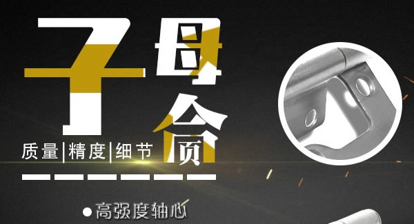 子母合頁，廣有專業(yè)|廣有五金&東莞合頁?